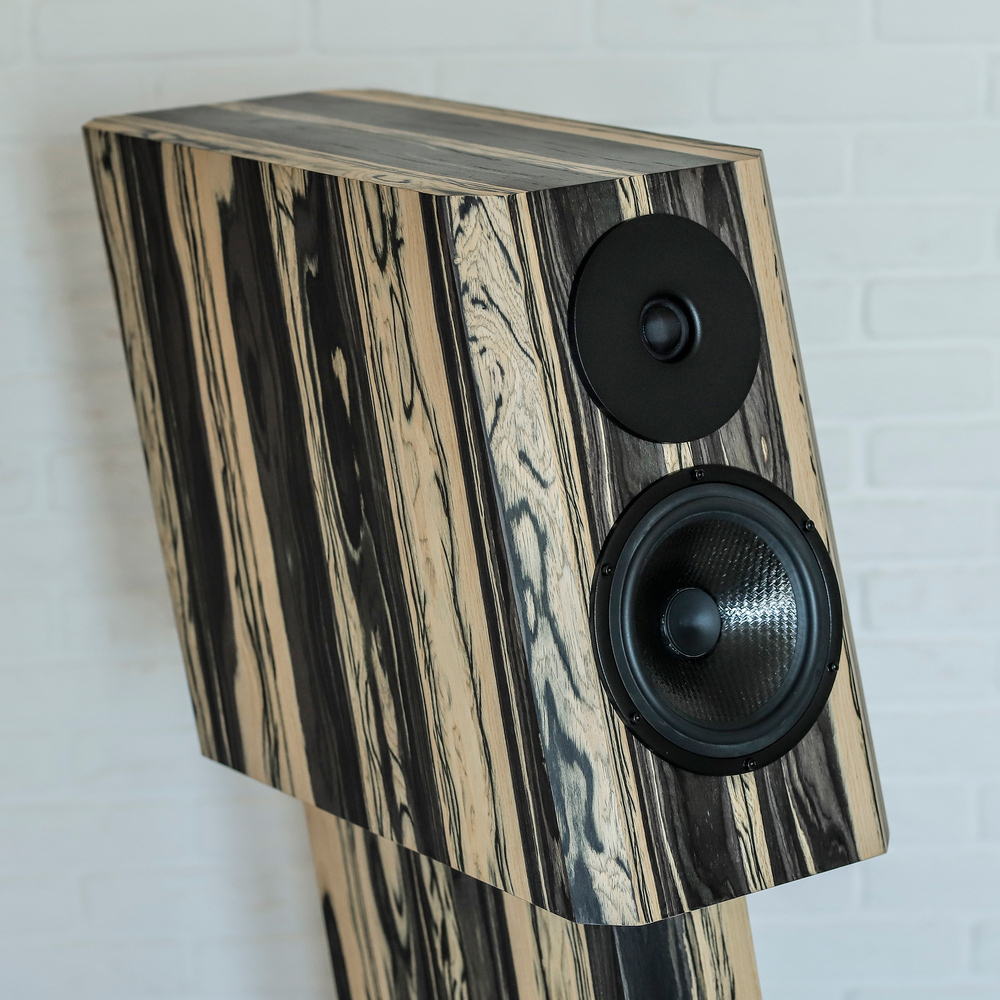 Акустика Ella Audio Filigrano  Seas Dynaudio Audionote