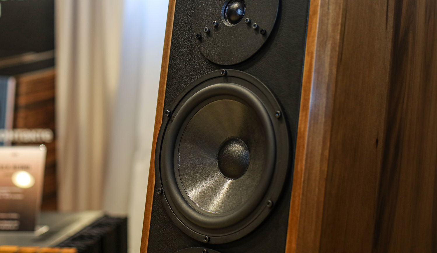 Напольная акустика Seas Dynaudio