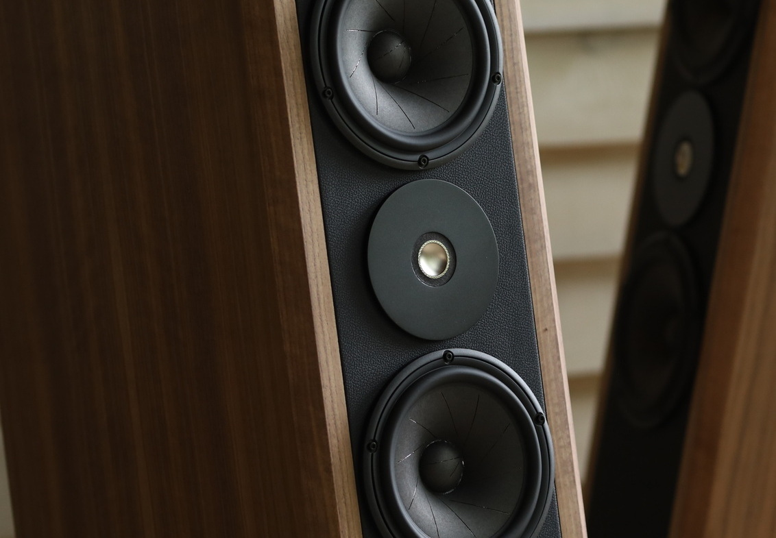 Напольная акустика Seas Dynaudio