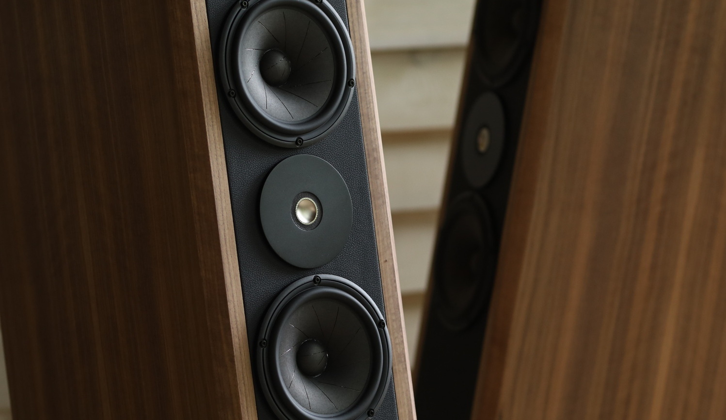Напольная акустика Seas Dynaudio